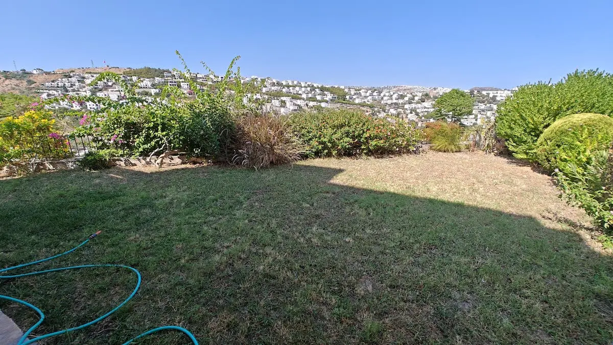 Mature garden
